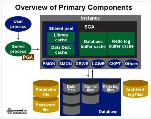 Oracle 10g安装版下载（for window）