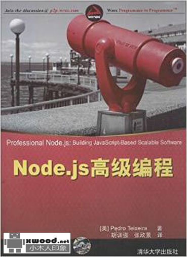 Node.js高级编程（英文）PDF版本下载