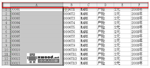 在Office Excel按分隔符号自动分列的设置