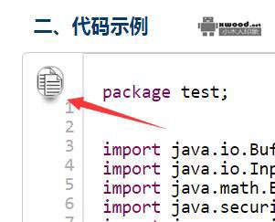 分享本站代码段复制按钮功能实现代码源码示例说明及效果演示