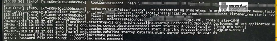 启动tomcat时日志报“Error:password  file  not  found:../conf/jmxremote.password ”异常导致无法正常启动使用