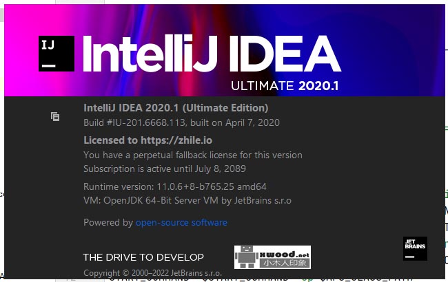 IntelliJ IDEA_2020.1免费版(可激活2089年)下载